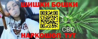 гашик Ставрополь