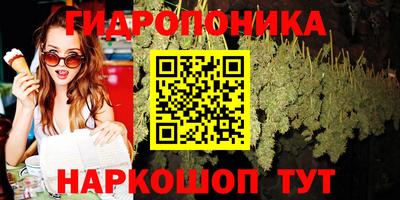 МДПВ Старая Купавна