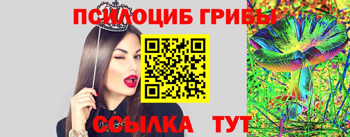 Галлюциногенные грибы Cubensis Югорск