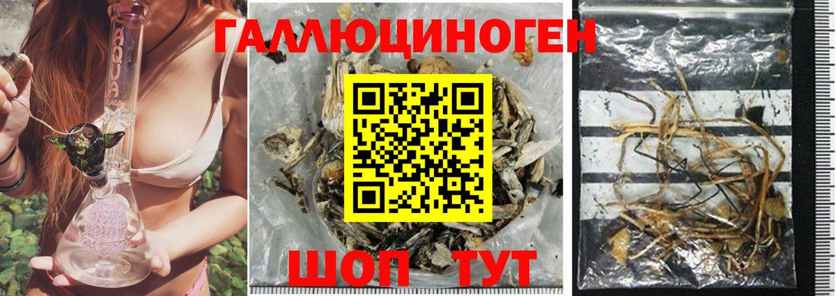 Галлюциногенные грибы Magic Shrooms  где продают наркотики  Югорск  Вход с VPN 